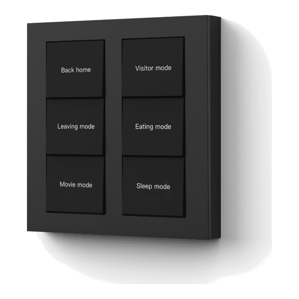 D1 6-Button Mains